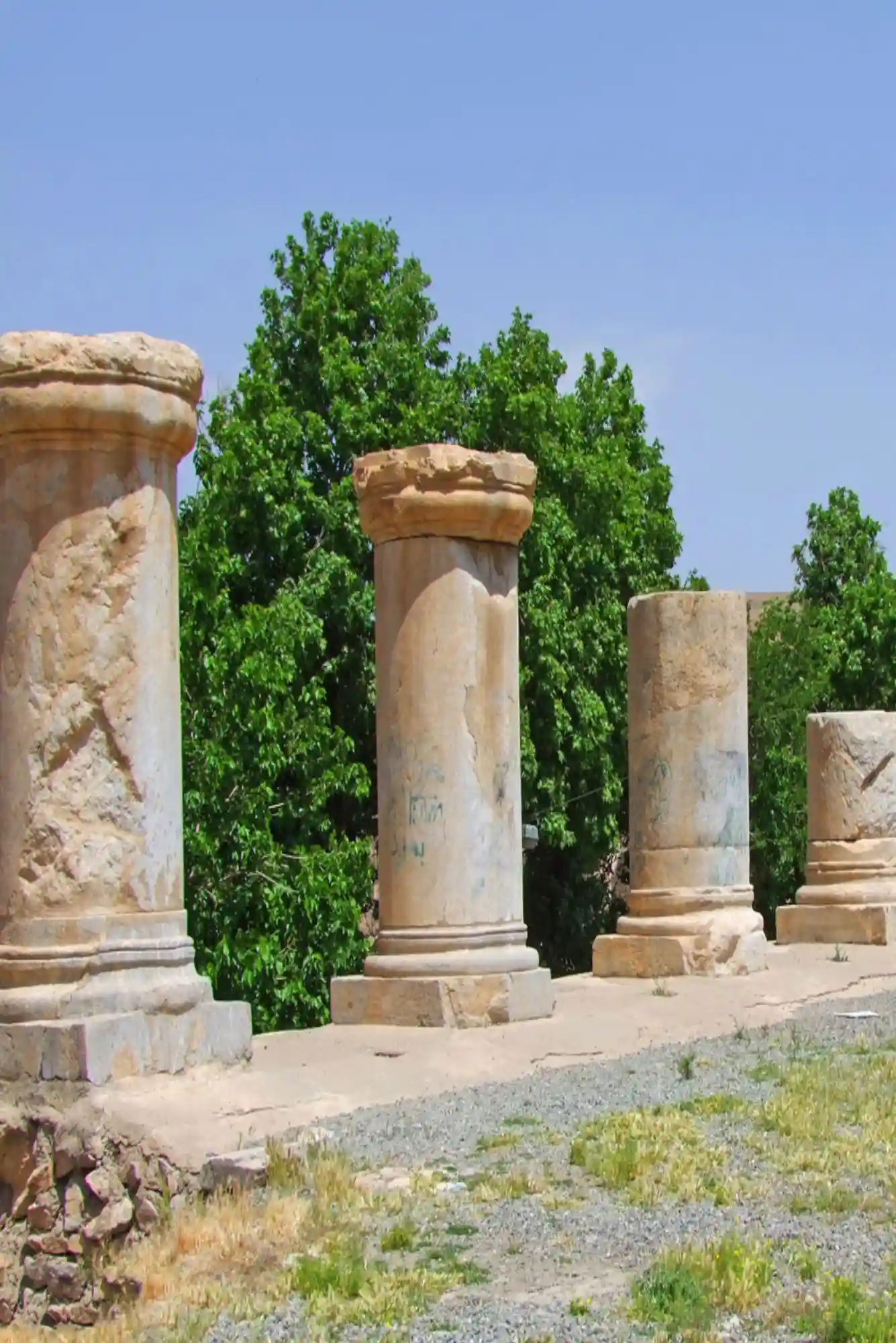 عدالت فردا 2